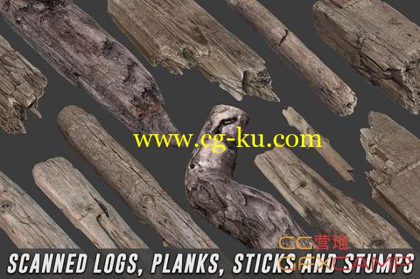 树木树状棍子3D模型 Cubebrush - Scanned Logs Planks Sticks and Stumps的图片1