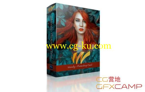 图片调色修图PS插件 Moody Photoshop Panel 1.1.2 Win/Mac的图片1