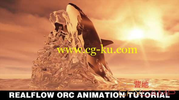 C4D+RealFlow制作鲸鱼出水动画教程 Skillshare - RealFlow Orca Animation Tutorial的图片1