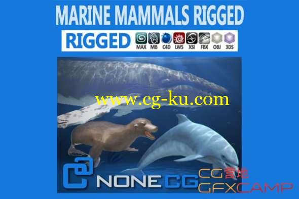 海豚海豹鲸鱼3D模型 CGTrader - Pack - Marine Mammals 3D model的图片1