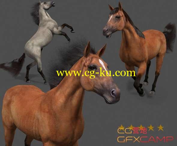 马3D模型 CGTrader - Ultimate Horse Collection - 3d model的图片1