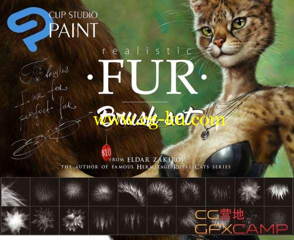 CSP+PS动物毛发笔刷 Gumroad - Realistic Fur Brush Set Clip Studio Paint and Photoshop的图片1