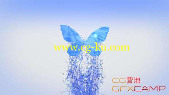 AE模板-水流蝴蝶飞舞Logo动画 Splashing Butterfly Logo Reveal的图片1