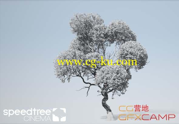 三维植物树木生长建模软件 SpeedTree Modeler 8.4.0 Cinema Edition Win破解版的图片1