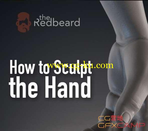 ZBrush手3D模型雕刻教程 Gumroad - How to Sculpt the Hand的图片1