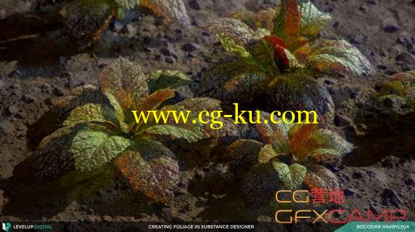 三维植物叶子制作教程 Gumroad - Creating Foliage in Substance Designer的图片1