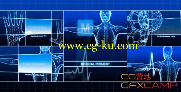 AE模板-VideoHive医学医疗人体骨骼展示的图片1