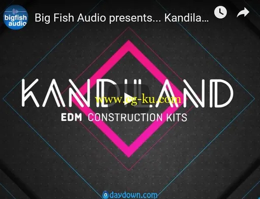 Big Fish Audio Kandiland: EDM Construction Kits KONTAKT的图片2