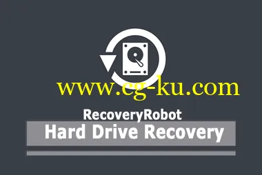 RecoveryRobot Hard Drive Recovery Business 1.3.1 Multilingual的图片1