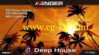 Vengeance Sound Avenger Expansion pack Deep House (UNLOCKED)的图片1