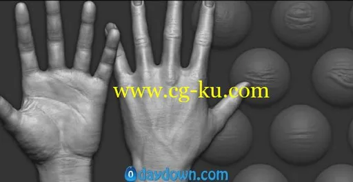 Gumroad – Zbrush – Hand Details VDM Brush的图片1