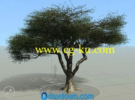 Pixelfront – Model An African Acacia Tree in SpeedTree的图片1