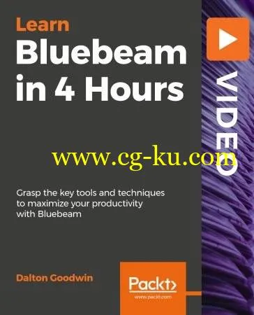 Bluebeam in 3 Hours的图片2