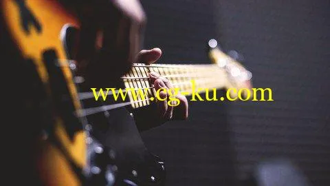 Bass Guitar Foundations | More Rock, Less Drama的图片2