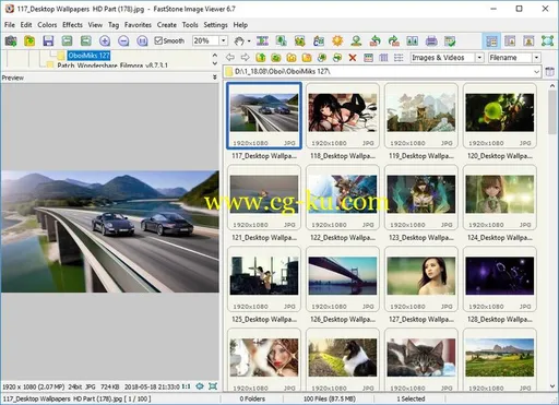 FastStone Image Viewer 7.4 Corporate Multilingual的图片1