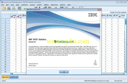 IBM SPSS Statistics 26.0 IF006 Win/Linux/Macosx的图片2