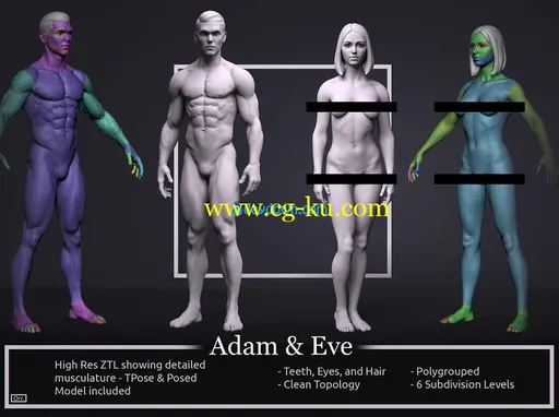 CGTrader – Basemesh Set – Adam and Eve 3D Model Collection的图片1