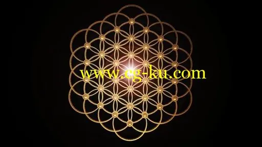 Rhino 3D Grasshopper flower of life and other patterns full的图片2