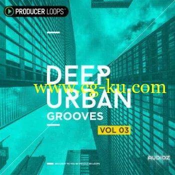 Producer Loops Deep Urban Grooves Vol 3 WAV MIDI-DECiBEL的图片1