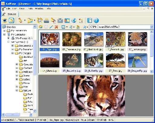 XnView 2.49 Complete Multilingual的图片1