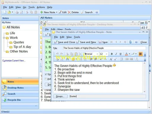 Efficient Notes 5.60 Build 555 Multilingual的图片1