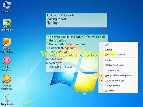 Efficient Sticky Notes Pro 5.60 Build 555 Multilingual的图片1