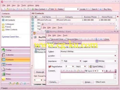 Efficient Ladys Organizer 5.60 Build 555 Multilingual的图片1