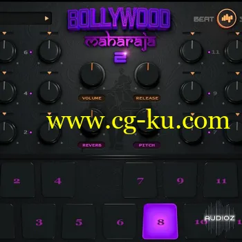 BeatSkillz Bollywood Maharaja v2.0 [WiN-OSX] RETAiL-SYNTHiC4TE的图片1