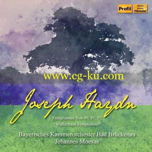 Bayerisches Kammerorchester Bad Brckenau – Haydn: Wallerstein Symphonies (2019) Flac的图片1