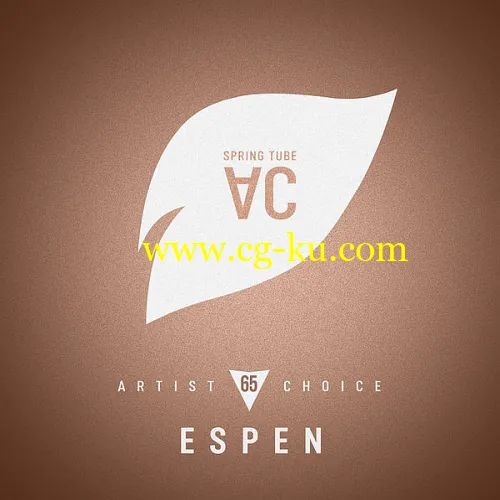 VA – Artist Choice 65: Espen (2019)的图片1