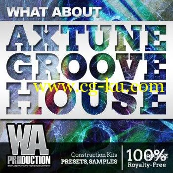 W A Production Axtune Groove House WAV MIDI Spire-DECiBEL的图片1