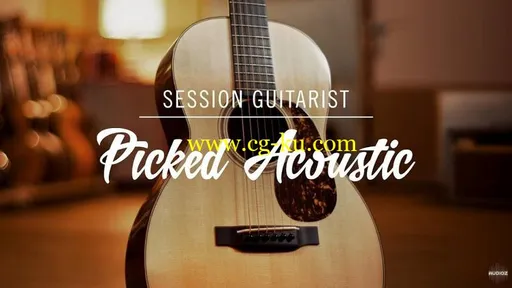 Native Instruments Session Guitarist Picked Acoustic v1.0 KONTAKT-DECiBEL的图片1