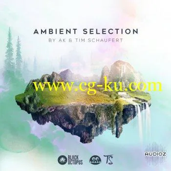 Black Octopus Sound Ambient Selection by AK and Tim Schaufert WAV Serum Presets-DECiBEL的图片1