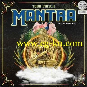 Todd Pritch Mantra Guitar Loop Kit WAV-DECiBEL的图片1