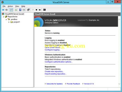 VisualSVN Server Enterprise 4.1.0的图片1