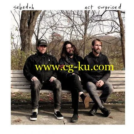 Sebadoh – Act Surprised (2019) FLAC的图片1