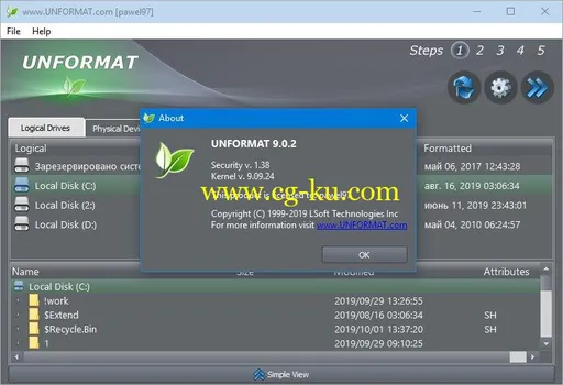 LSoft Technologies UNFORMAT Professional 9.0.2的图片2