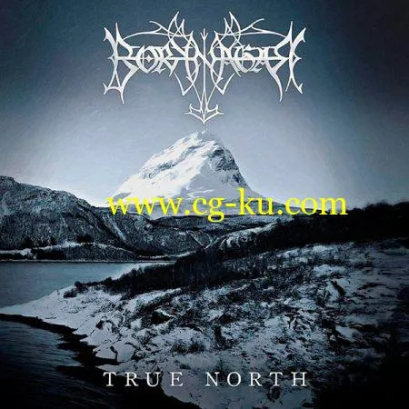 Borknagar – True North (2019)的图片1