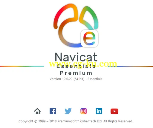 Navicat Essentials Premium 12.1.24 x86/x64的图片1