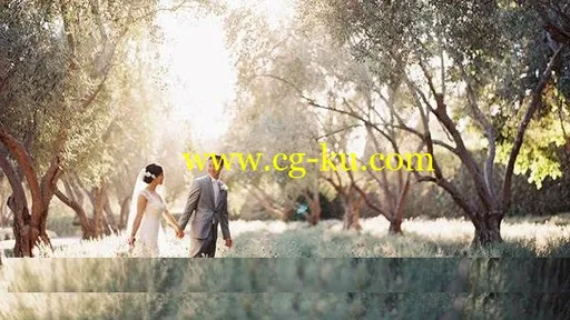 Lighting and Posing for Wedding Photographers的图片1