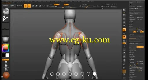 Gumroad – Female Anatomy Tutorial的图片1