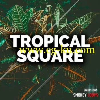 Smokey Loops Tropical Square WAV MiDi的图片1