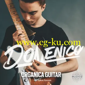 DOMENICO: Organica Guitar WAV的图片1