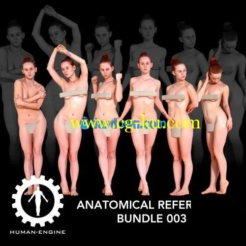 CGTrader – Anatomical Reference Bundle 003 3D models的图片1