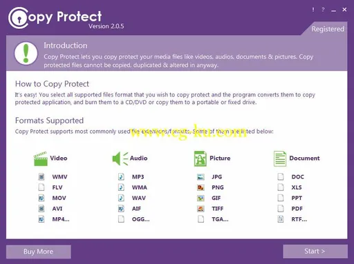 Copy Protect 2.0.6的图片1