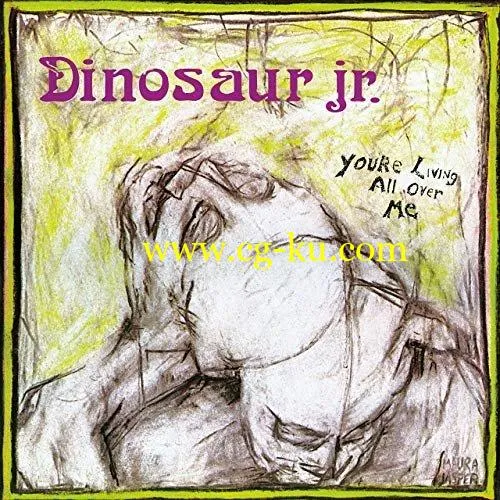 Dinosaur Jr. – You’re Living All Over Me (1987/2019) FLAC的图片1