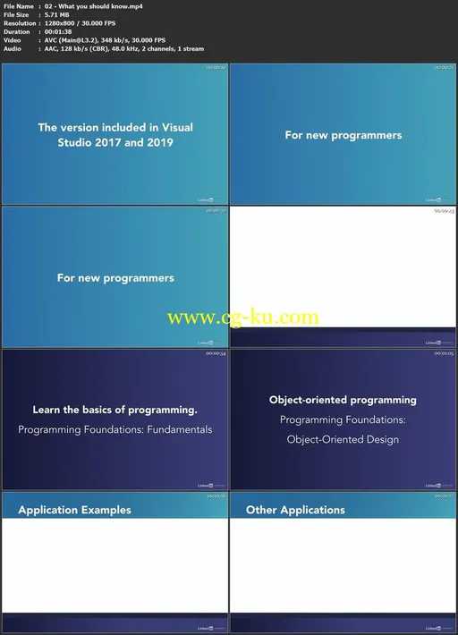 Visual Basic Essential Training (Released 10/18/2019)的图片1