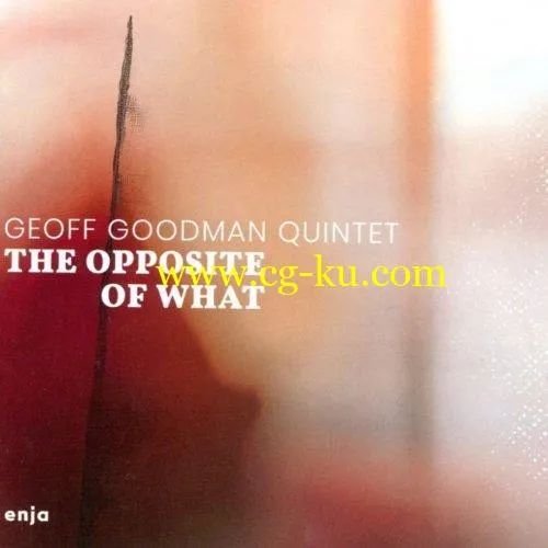 Geoff Goodman – The Opposite of What (2019) FLAC的图片1