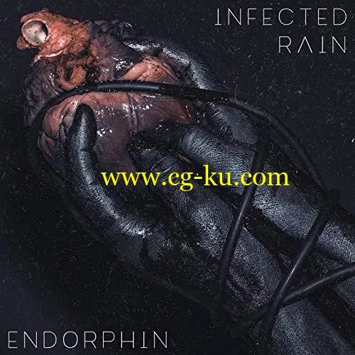 Infected Rain – Endorphin (2019) FLAC的图片1