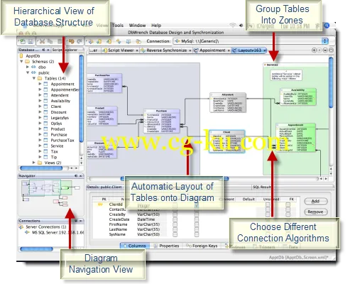 Nizana Systems DbWrench 4.2.5的图片1